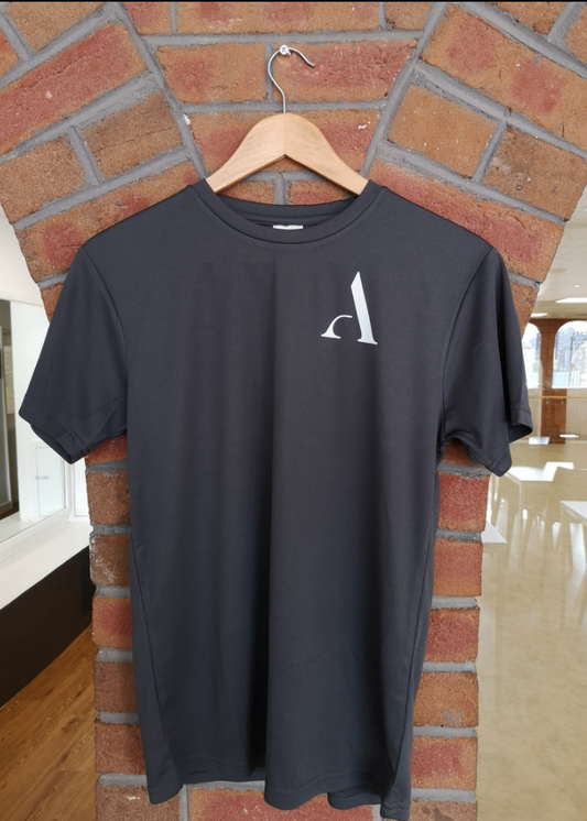 Anlaby Studios Grey T-Shirt